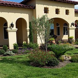 Paradise Landscapes Design & Build top services includes Landscapes.