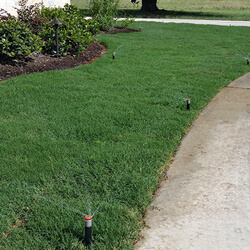 Paradise Landscapes Design & Build top services includes Irrigation designed for your property.