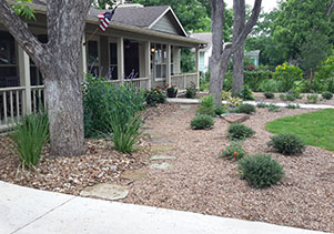 Paradise Landscapes of New Braunfels