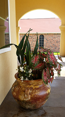 Add a pop of color to your yard. Clay pot with perennials.